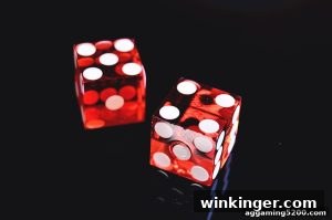 AG真人 winkinger